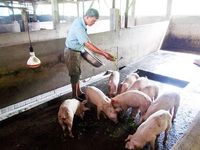 Chung tay chăm lo người cao tuổi