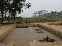 Bàn 'kế' nâng tầm bãi cọc gỗ Bạch Đằng do nông dân Hải Phòng phát hiện