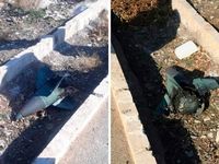 Iran xảy ra biểu tình lớn đòi lãnh tụ tối cao từ chức