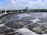 Xã Nga Tân đạt chuẩn Nông thôn mới