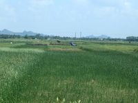Xã Nga Tân đạt chuẩn Nông thôn mới