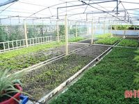 Từ vùng quê giàu truyền thống văn hóa đến mục tiêu xã nông thôn mới kiểu mẫu ở Hà Tĩnh
