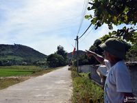 Rừng thông Yên Thành tiếp tục cháy trở lại