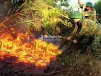 Nghệ An: Lửa rừng lan rộng, hàng nghìn người cõng nước băng đồi dập lửa