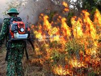 Nghệ An: Lửa rừng lan rộng, hàng nghìn người cõng nước băng đồi dập lửa