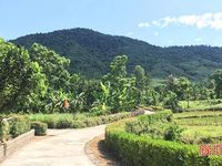 Bí thư chi bộ thôn làm nên 'kỳ tích' khu dân cư kiểu mẫu ở vùng thượng Kỳ Anh