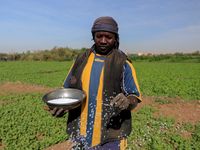 Sudan 'đứng ngồi không yên' vì siêu đập 5 tỷ USD Đại Phục Hưng