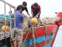 Chủ tịch UBND tỉnh Nghệ An ra công điện khẩn ứng phó với bão số 2