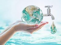 Những kỹ năng ứng phó với bão cần biết