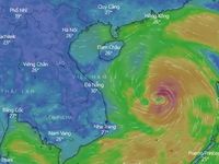 Những kỹ năng ứng phó với bão cần biết