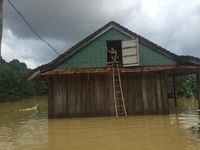Bão số 8 đổ bộ: Bật mí cái 'tra' của người dân miền Trung