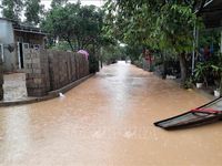 Tình hình mưa lũ ngày 23/10: Lên phương án di dời dân ứng phó bão số 8