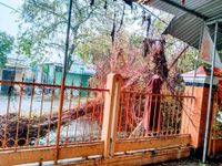 Thừa Thiên Huế: Huyện miền núi Nam Đông tan hoang sau bão số 9