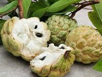 Không ăn bún phở, Hà Tăng chỉ ăn sáng bằng 3 loại quả này mà người khỏe lại đẹp