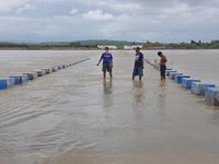 Siêu bão Goni mang gió mạnh thảm khốc, gây sạt lở ở Philippines