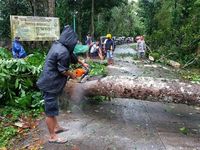 Siêu bão Goni mạnh nhất năm 2020 đổ bộ Philippines