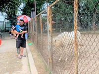 Hà Nội: Người dân chủ quan không đeo khẩu trang tại công viên