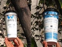 Nhân rộng muỗi vằn mang Wolbachia phòng chống sốt xuất huyết tại khu vực phía Nam