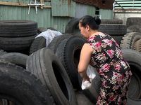 Đà Nẵng: Tập trung xử lý ổ dịch sốt xuất huyết có nguy cơ cao