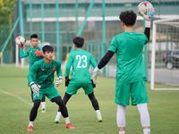 U19 Việt Nam thử việc thủ môn Việt kiều Đức