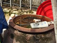 Cận cảnh nơi phát sinh mầm bệnh sốt xuất huyết nhà nào cũng có