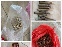 Bắt giữ đối tượng tàng trữ súng AK và hàng trăm viên đạn các loại