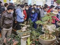 Tấp nập phiên chợ 'cả năm chỉ họp một lần' ở tỉnh Nam Định