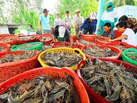 7 mặt hàng xuất khẩu đạt tỷ USD trong nửa đầu năm 2023