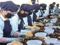 7 mặt hàng xuất khẩu đạt tỷ USD trong nửa đầu năm 2023