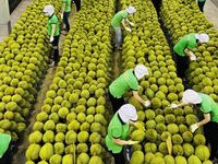 7 mặt hàng xuất khẩu đạt tỷ USD trong nửa đầu năm 2023