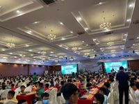 1.400 kỳ thủ nhí cờ vua đổ về Cần Thơ tranh tài, khách sạn kín phòng