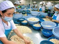 6 mặt hàng nông sản xuất khẩu chủ lực nửa cuối năm 2023, kỳ vọng hút tỷ USD