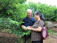 Xây dựng các mô hình khuyến nông đa giá trị