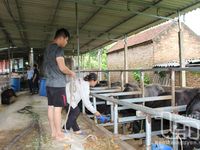 Xây dựng các mô hình khuyến nông đa giá trị