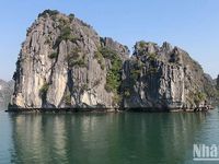 Vịnh Hạ Long - Quần đảo Cát Bà trở thành Di sản thế giới thuộc địa bàn hai tỉnh, thành phố đầu tiên ở Việt Nam