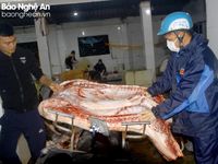 Nghệ An siết chặt quản lý hoạt động giết mổ gia súc trong dịp Tết