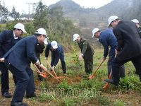 Huyện Si Ma Cai và Văn Bàn phát động Tết trồng cây xuân Giáp Thìn năm 2024