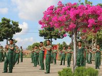 Sôi nổi hoạt động chào mừng kỷ niệm 70 năm Chiến thắng Điện Biên Phủ