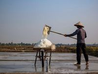 Quảng Bình: nắng nóng, muối được mùa nhưng mất giá