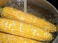 Luộc ngô nhớ cho chút bột này, ngô sẽ ngọt và dẻo thơm đặc biệt