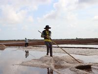 Bạc Liêu lần đầu đề nghị trung ương công nhận '5 sao' cho 1 đặc sản
