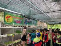 Chương trình giáo dục dinh dưỡng học đường – Sự cần thiết trong xu hướng mới