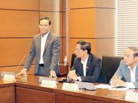 Quốc hội làm luật 'đúng vai', 'tròn vai'