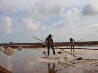 Khai mạc Festival nghề muối, mở cánh cổng lớn cho diêm dân cả nước