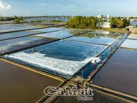 Cánh đồng muối Lưu Hoa Thanh