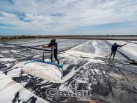 Cánh đồng muối Lưu Hoa Thanh