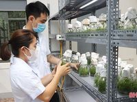 Đột phá tư duy, kiến tạo nền tảng phát triển bền vững