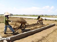 Độc đáo quy trình làm muối của diêm dân vùng ven biển, bãi ngang ở Nghệ An