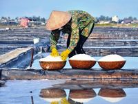 Về Sa Huỳnh hòa mình trải nghiệm nông dân trên cánh đồng muối