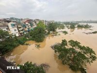 Nước sông Hồng dâng cao, ảnh hưởng đến cuộc sống của người dân Hà Nội